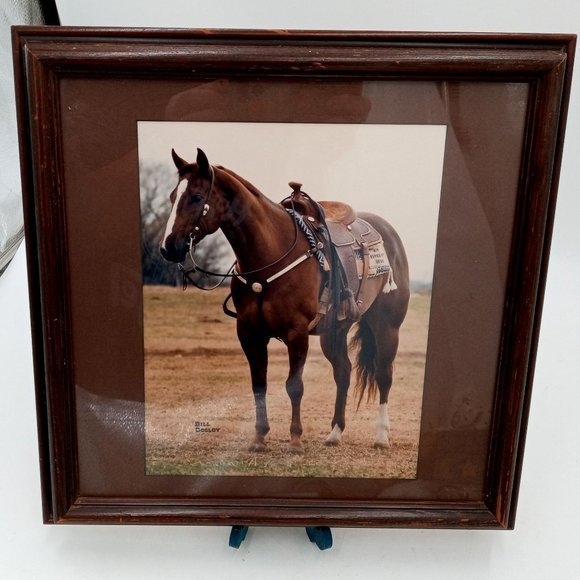 Beautiful Horse Photograph Framed Found Photo Art Cowboy Western Ranch Decor 14 - Picture 11 of 13